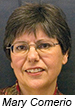 Professor Mary Comerio